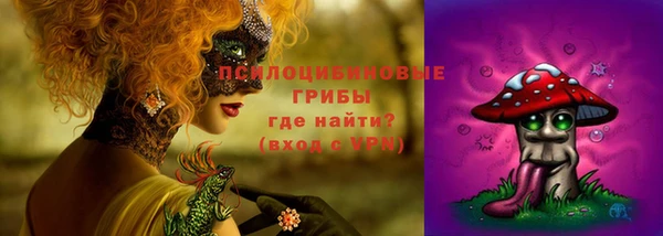 герыч Касимов