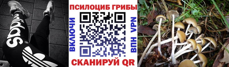 Псилоцибиновые грибы MAGIC MUSHROOMS  Купить закладки  Северо-Курильск 